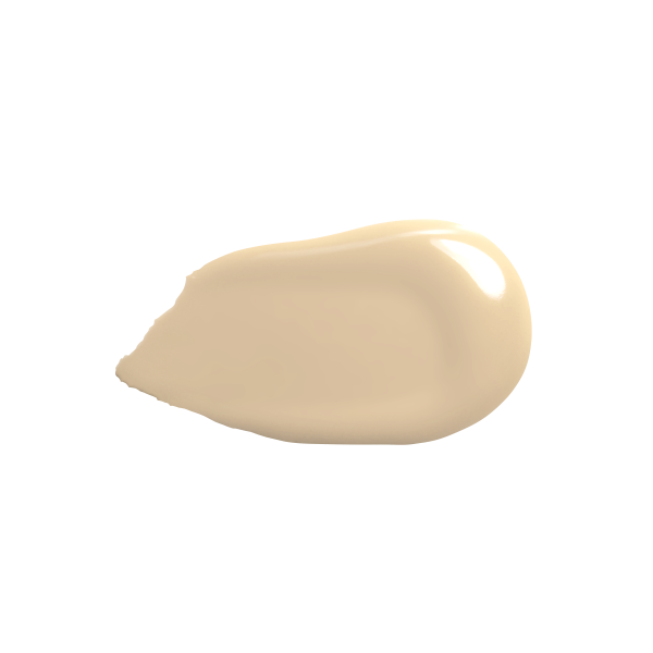 Absolute Cover Foundation - #0.25