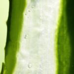 [2X] Mild &amp; Moisture ALOE VERA Watery Gel (Tube)