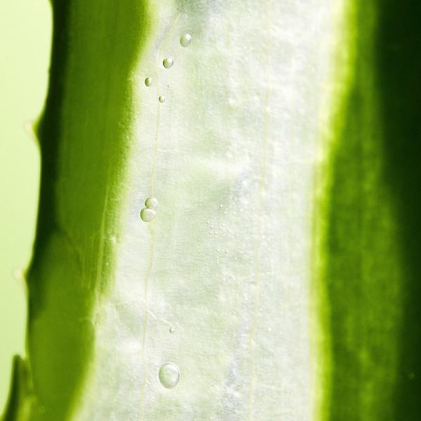 [2X] Mild &amp; Moisture ALOE VERA Watery Gel (Tube)