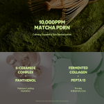 Matcha Toner &amp; Cream Duo