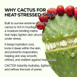 Cactox Pore Relief Jelly Toner Pad