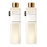 Silk Peptide EGF Toner Duo