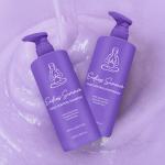 Endless Summer Frizz Control Conditioner