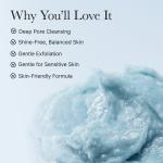 Fresh Blue Hyssop Rice Mochi Cleanser