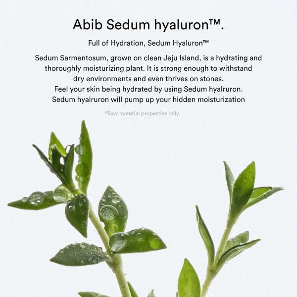 Sedum hyaluron pad Hydrating touch