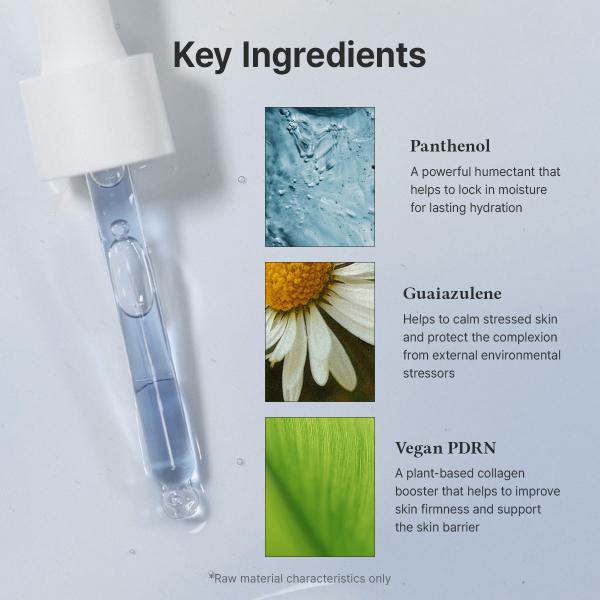 Deep Hydrating Routine Set