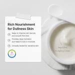 Rapid Firm Sculpting Cream