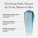 Fresh Blue Hyssop Rice Mochi Cleanser