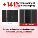 Damage Therapy Treatment EX (250g / 8.8 oz.)