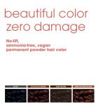 Permanent Powder Color Kit - Dark Golden Blonde