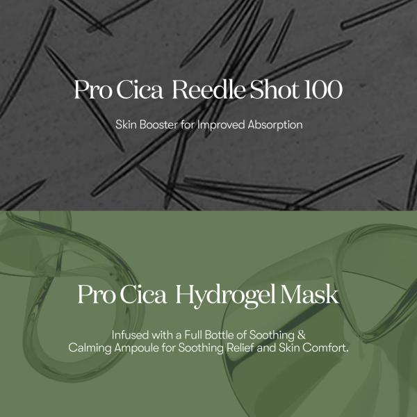 Pro Cica Reedle Shot 100 2 Step Hydrogel Mask 4ea