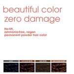 Permanent Powder Color Only Packet - Chocolate Brown
