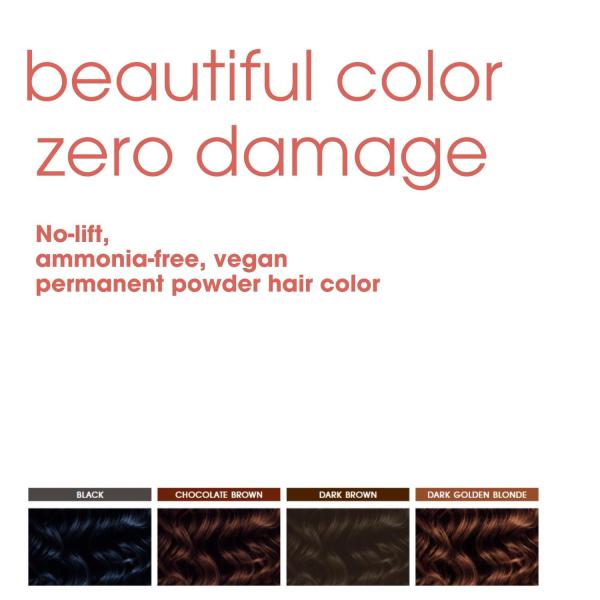 Permanent Powder Color Kit - Medium Brown