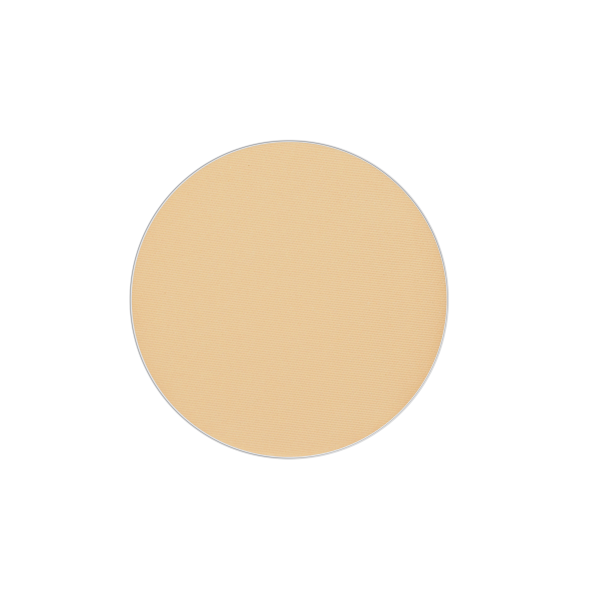 Wet &amp; Dry Foundation Godet Refill - #39
