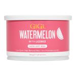 Neon Soft Wax Watermelon