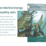 All Clean Balm &amp; Marine Care Eye Cream
