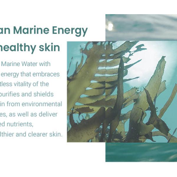 All Clean Balm &amp; Marine Care Eye Cream