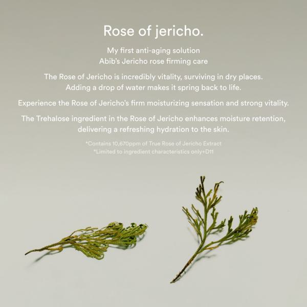 Jericho Rose Non-Animal Collagen Pad Firming Touch