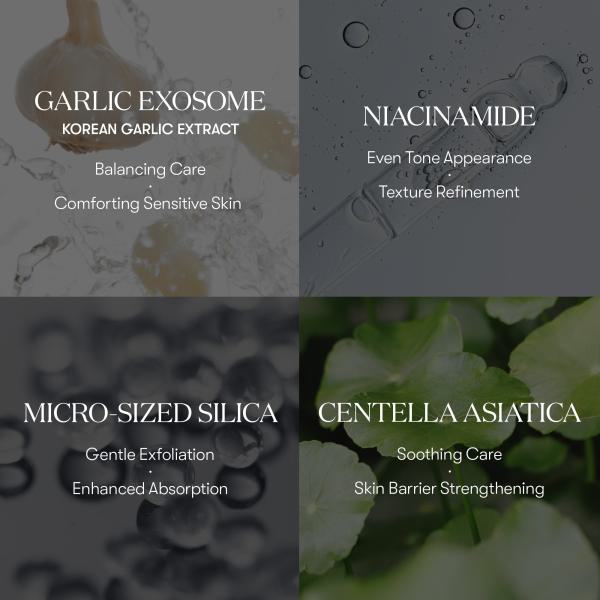 Garlic AC Reedle shot Spot Patch