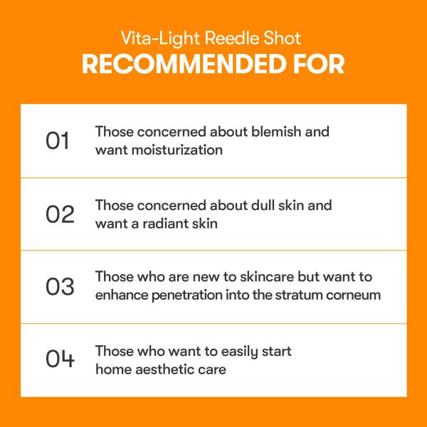 VITA-LIGHT 100 REEDLE SHOT STICK POUCH