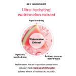 Watermelon Moisture Soothing Gel Cream 110ml