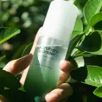 Black Bamboo Mist