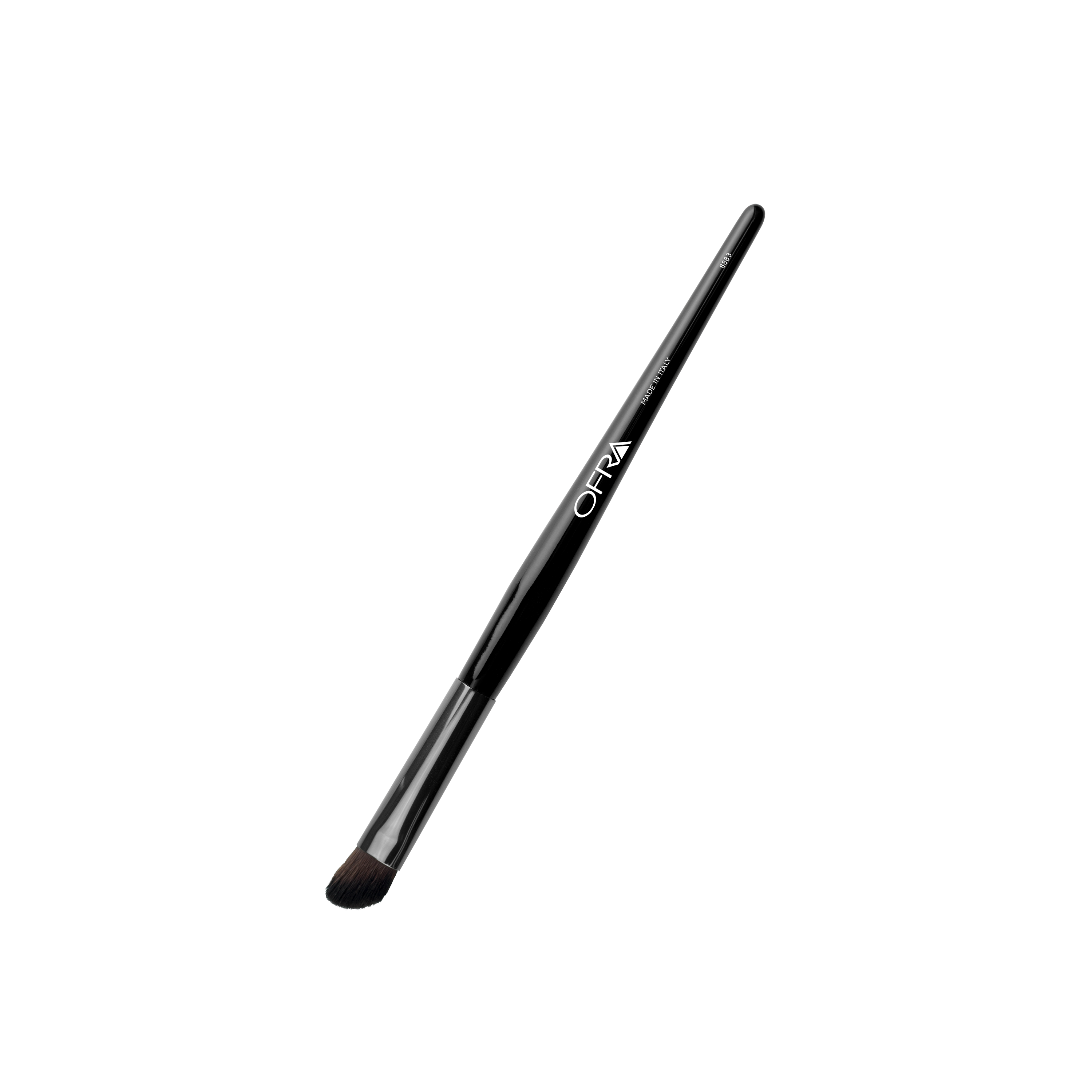 Brush #8883 - Angled Eye