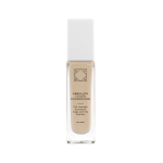 Absolute Cover Foundation - #0.25