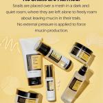 Advanced Snail Radiance Dual Essence