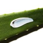 Aloe Soothing Sun Cream SPF50+/ PA+++