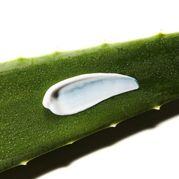 Aloe Soothing Sun Cream SPF50+/ PA+++