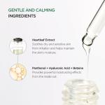 Heartleaf 80% Moisture Soothing Ampoule