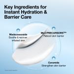 Barrier Reboot Intensive Cream