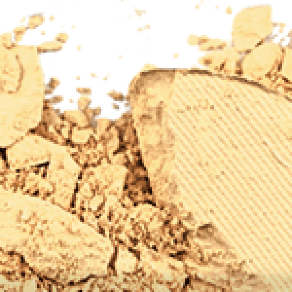 Pressed Banana Powder