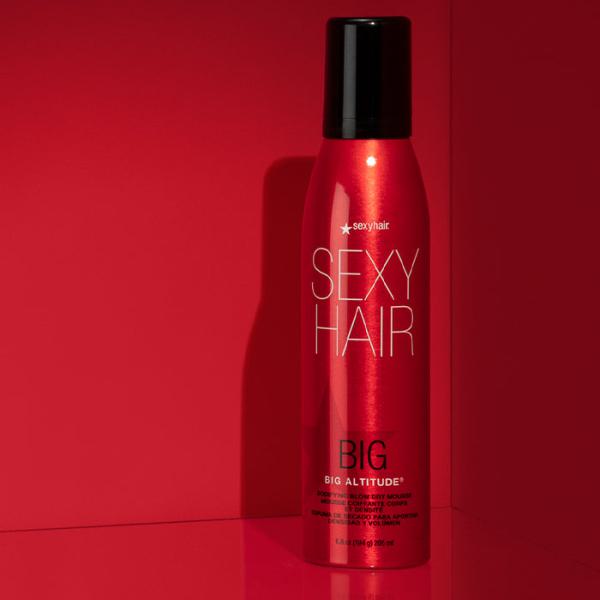 Big Altitude Bodifying Blow Dry Mousse