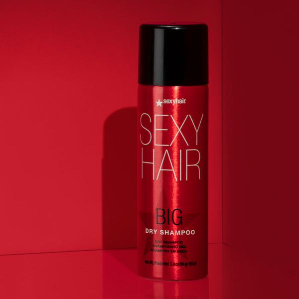 Big Dry Shampoo