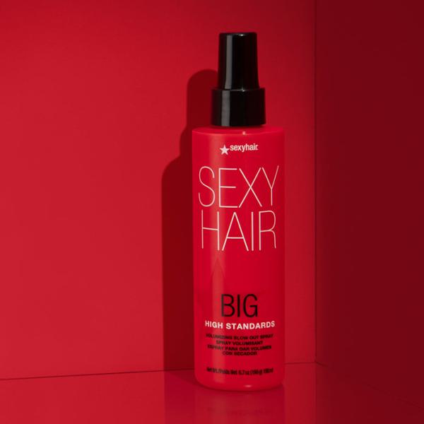 High Standards Volumizing Blow Out Spray