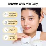 Rice probiotics overnight mask Barrier jelly