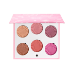 Mini Mix Face Palette - Blushful