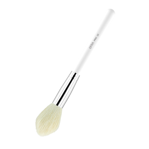 Brush #22 - Blush Brush