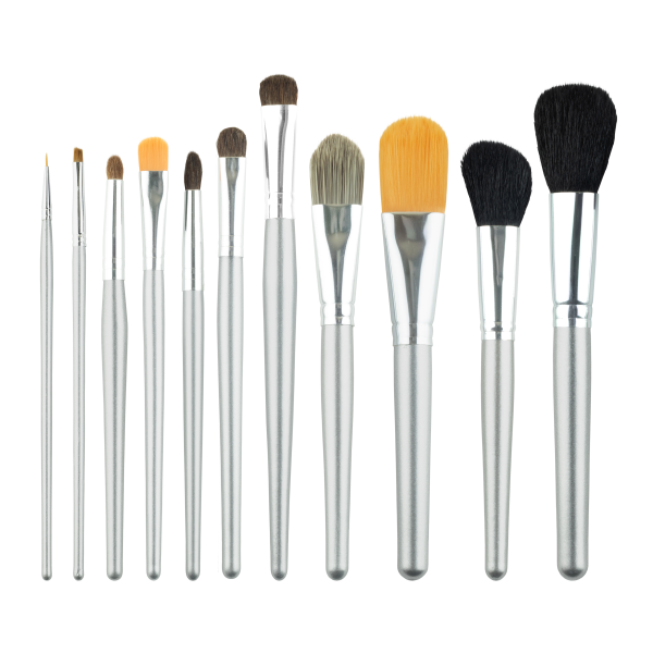 Brush Set 11 Pieces