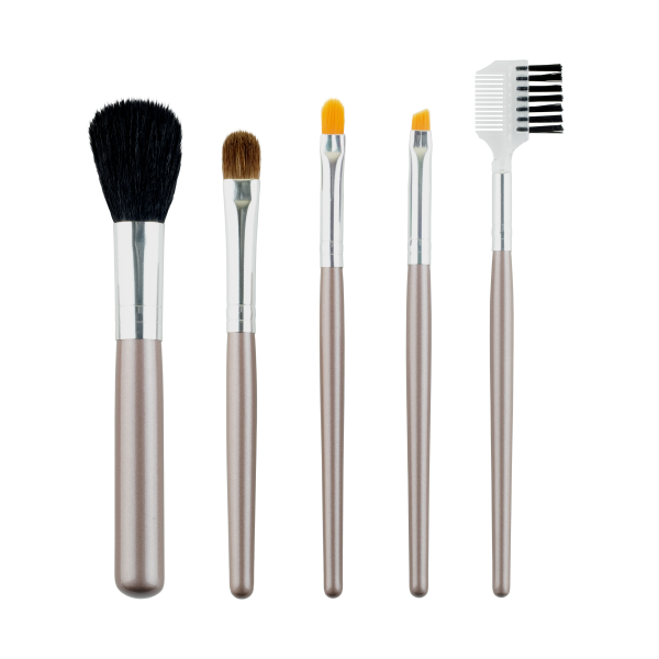 Brush Set 5 Pieces