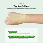 Bundle Only $9 Special: Cactox 3-Step Nose Mask Pack
