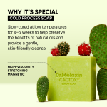 Kojic Acid &amp; Cactox Serum Soap Cleansing Duo