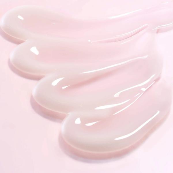 Camellia Deep Collagen Firming Cream