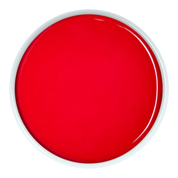 Hibiscus + Raspberry All Purpose Soft Wax