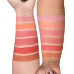 Mini Mix Face Palette - Charm Your Cheeks