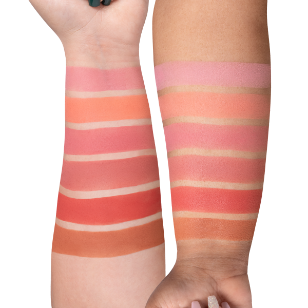 Mini Mix Face Palette - Charm Your Cheeks