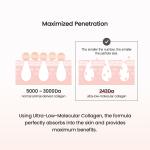 Collagen Ampoule