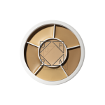 Derma Tones Wheel
